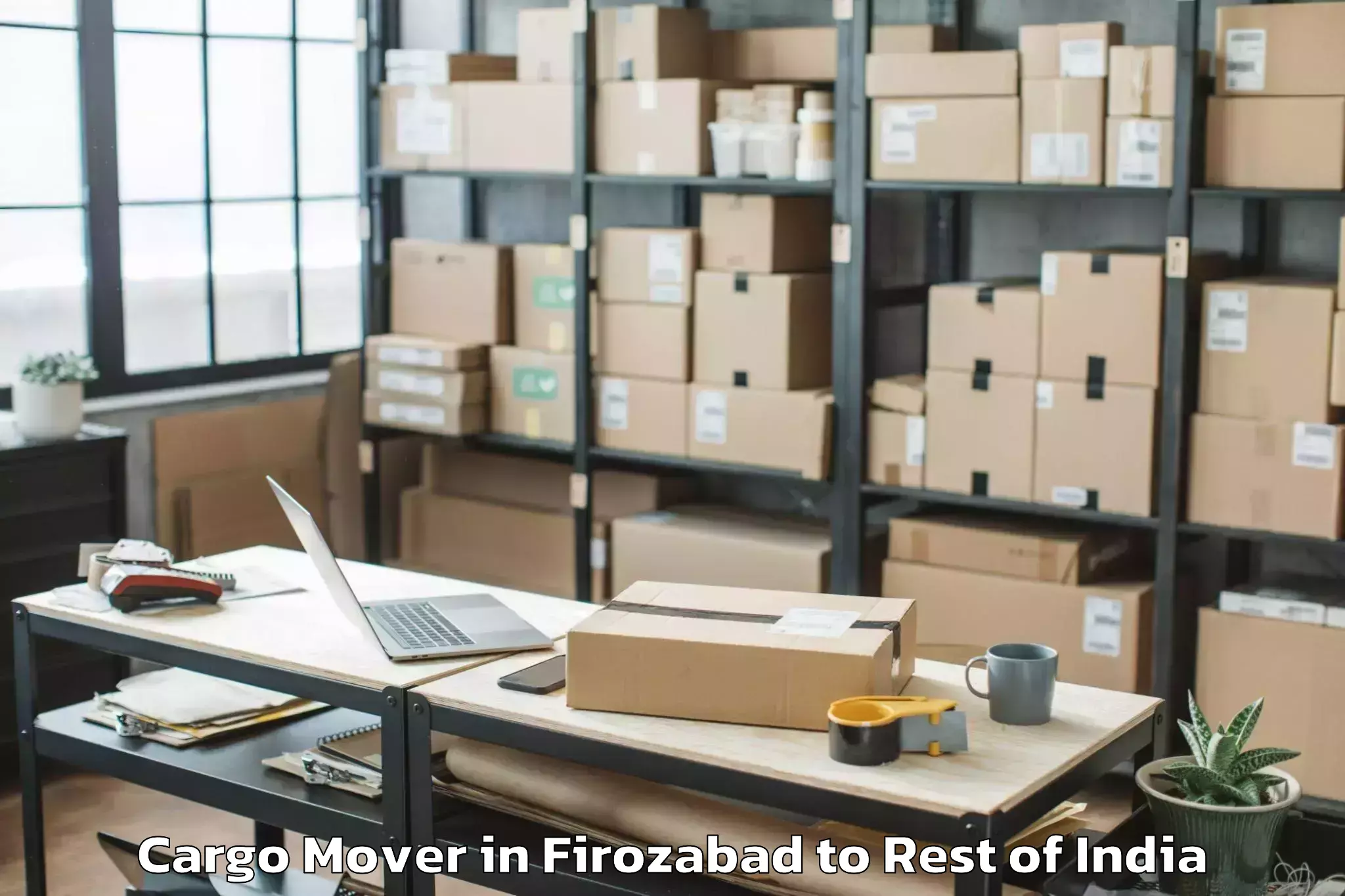 Book Firozabad to Nyapin Cargo Mover Online